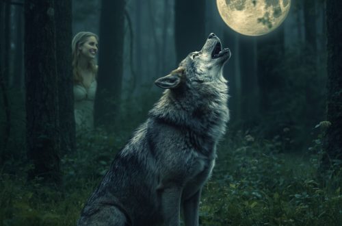 A wolf Howls at the moon as a wood nymph looks on.